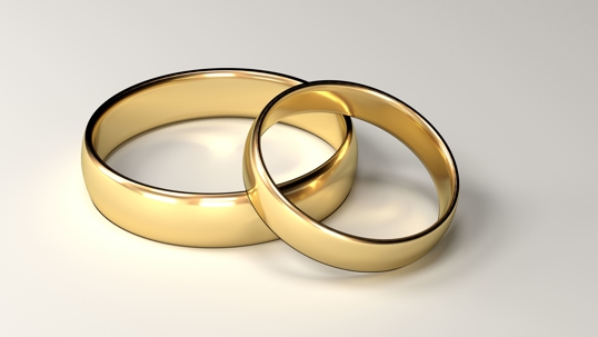 Two gold wedding bands